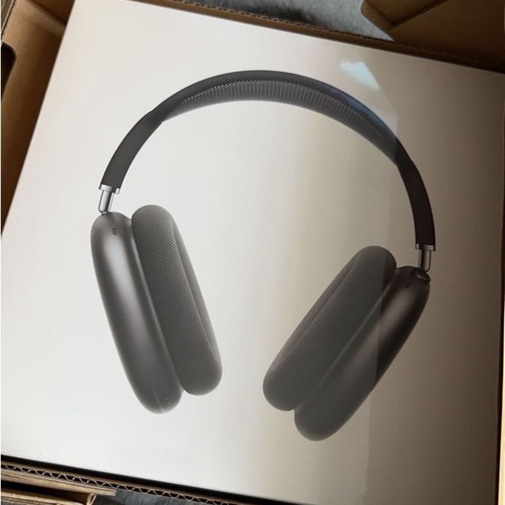 Apple AirPods Max in Charcoal Gray
